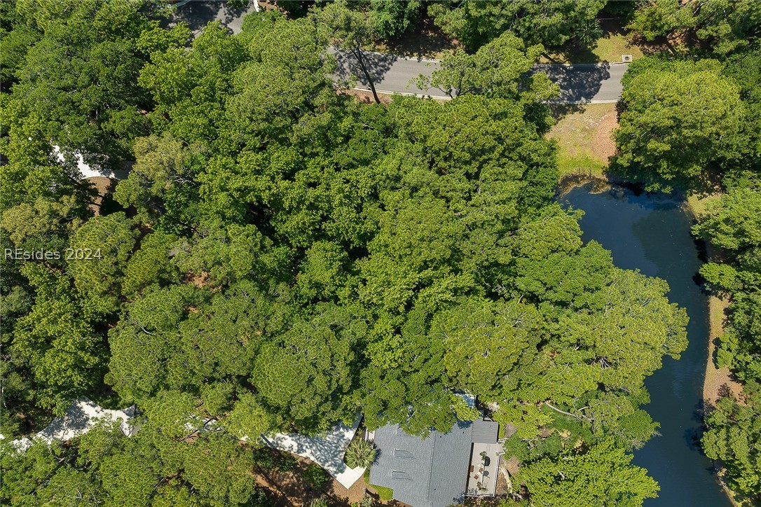1 Rosebank Lane, Hilton Head Island, South Carolina image 17