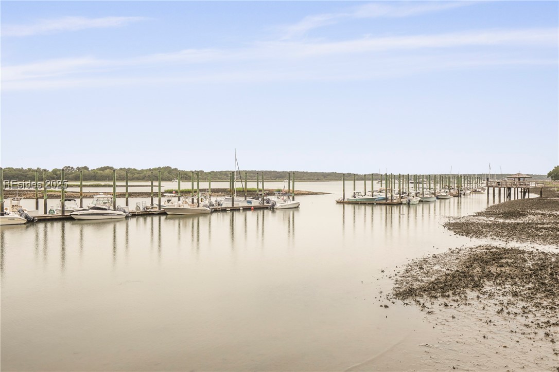 6 Village North Drive #155, Hilton Head Island, Texas image 13