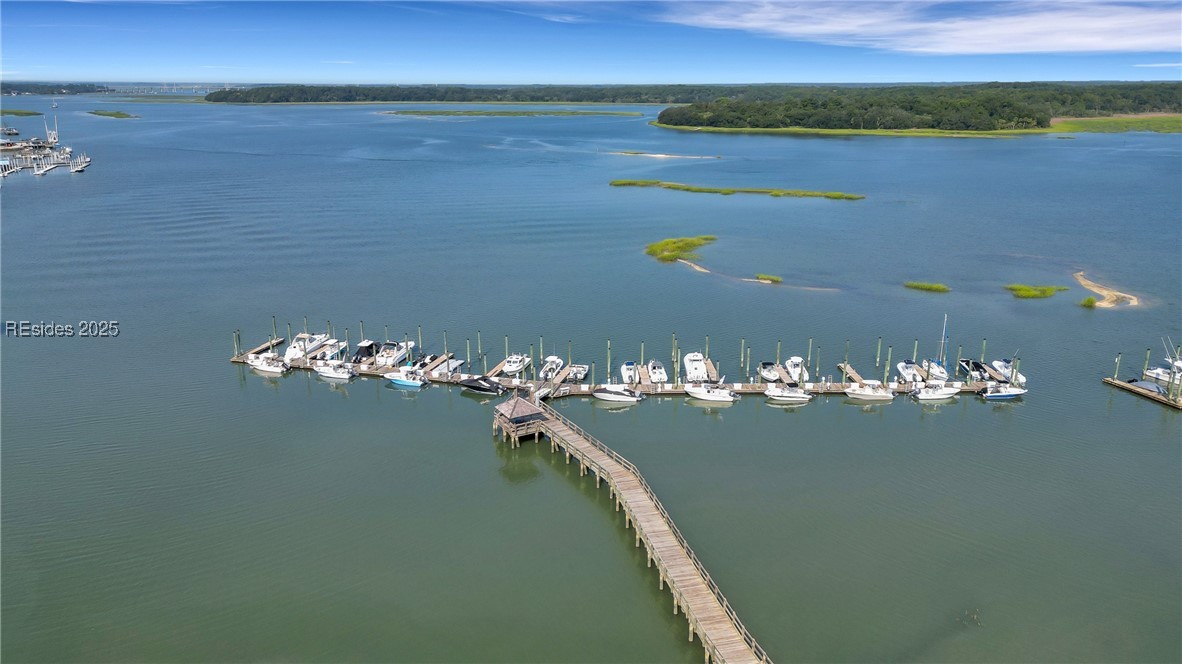 6 Village North Drive #155, Hilton Head Island, Texas image 45