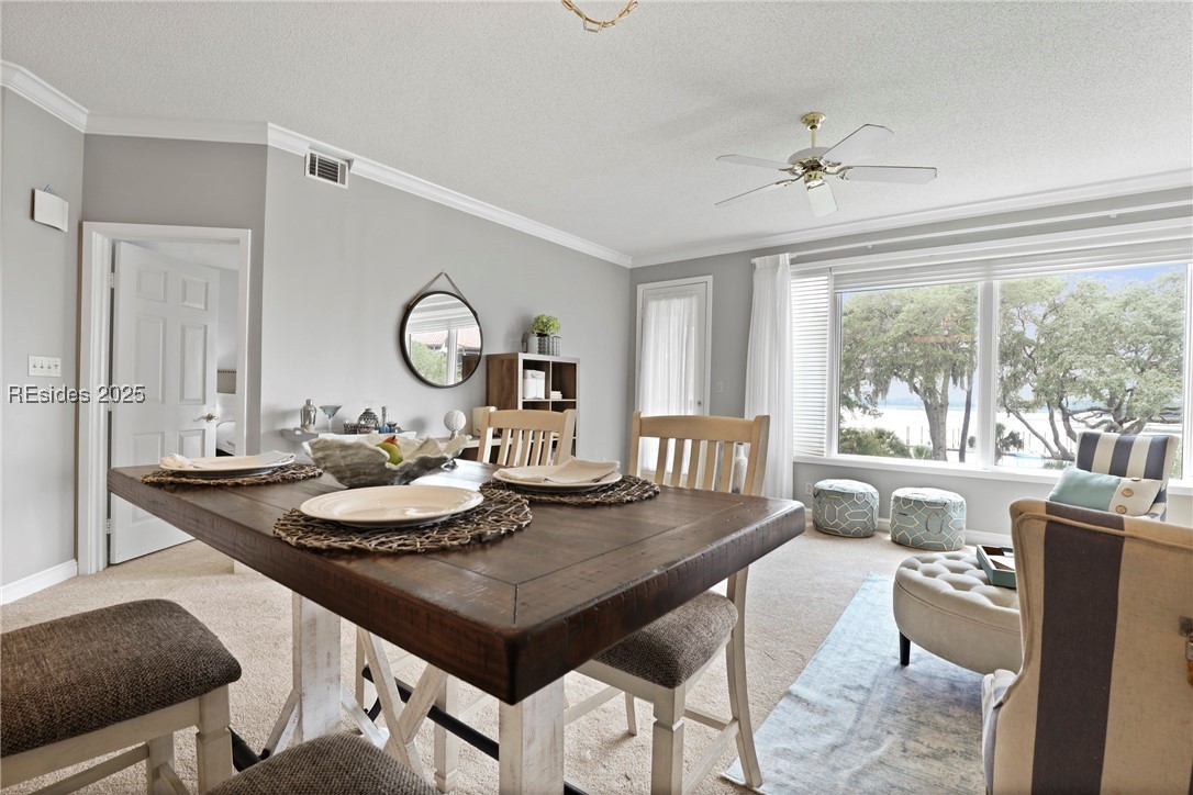 6 Village North Drive #155, Hilton Head Island, Texas image 24