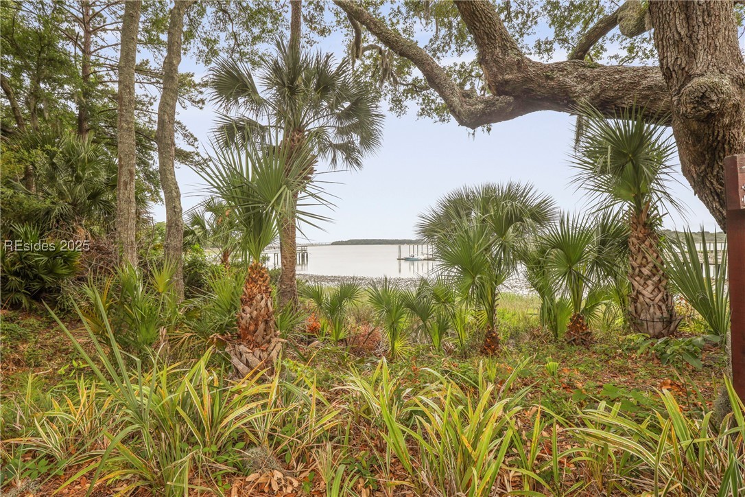 6 Village North Drive #155, Hilton Head Island, Texas image 11