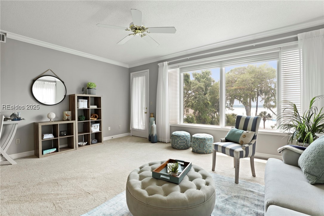 6 Village North Drive #155, Hilton Head Island, Texas image 25