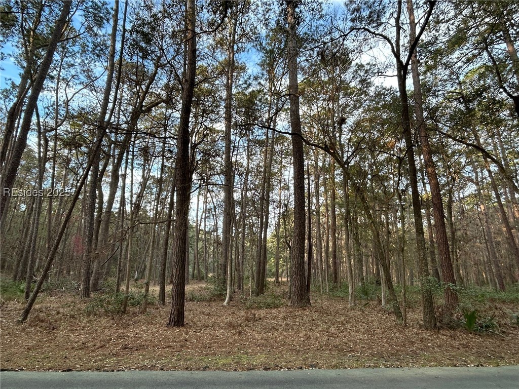 44 Masters Drive, Daufuskie Island, South Carolina image 4