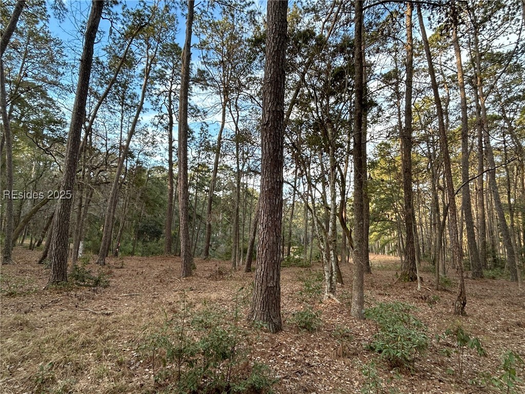 44 Masters Drive, Daufuskie Island, South Carolina image 5