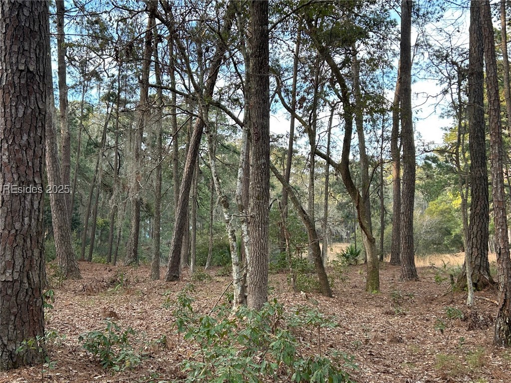 44 Masters Drive, Daufuskie Island, South Carolina image 1