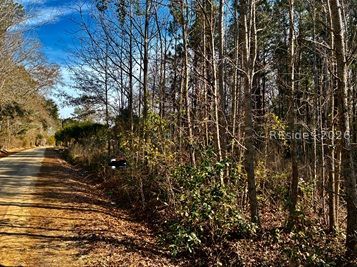 Vacant Land For Sale - 278 Sylvester Road<br/> Varnville, SC 29944