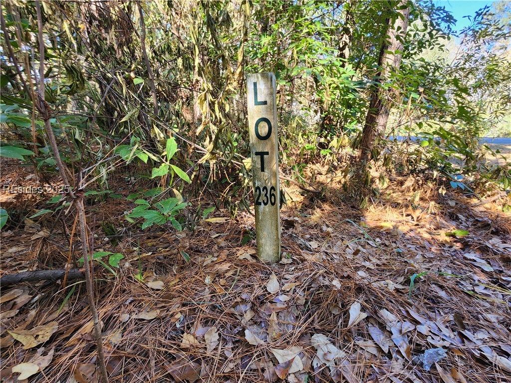 21 Blake Lane, Seabrook, South Carolina image 6