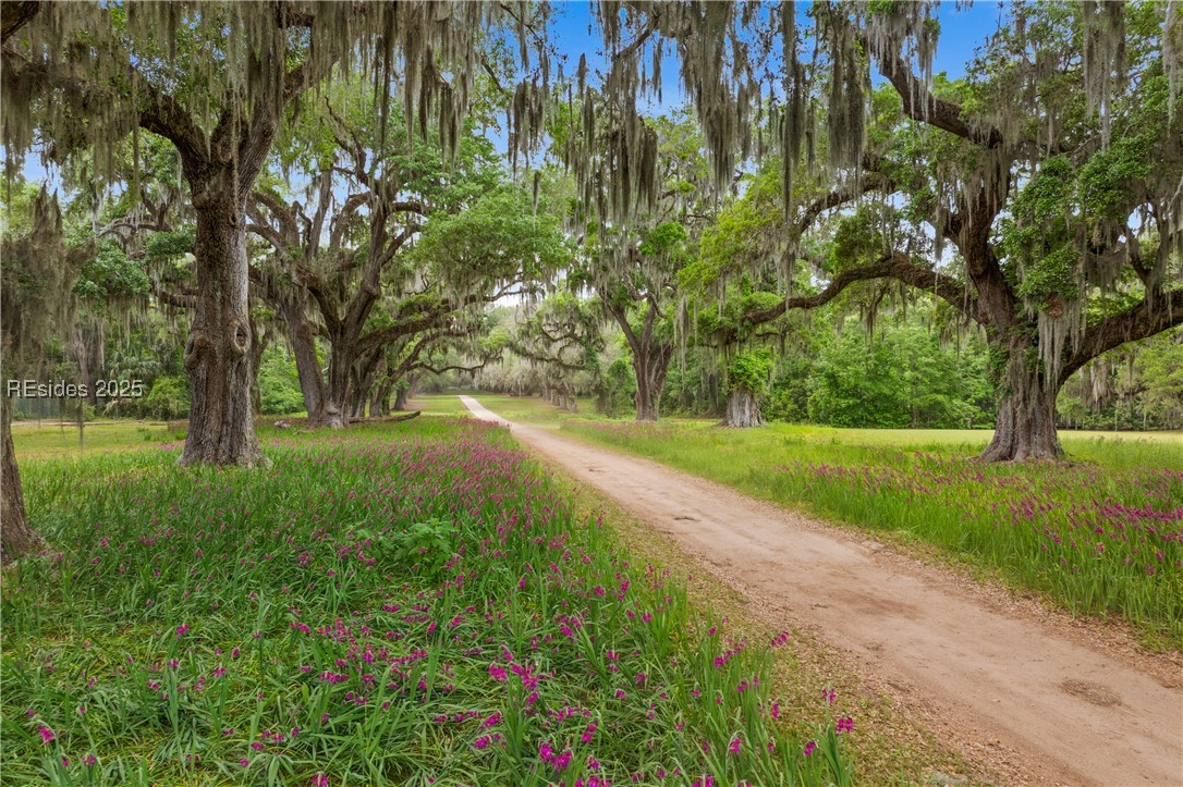 18 Old Tabby Rd Rd, Okatie, South Carolina image 38