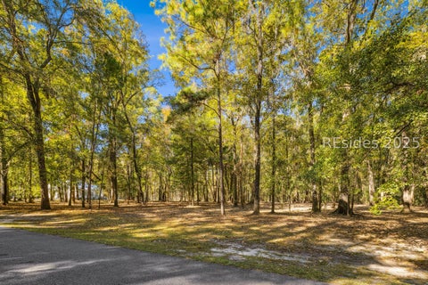 Vacant Land For Sale - 217 Mcallister Landing<br/> Bryan County, Richmond Hill, GA 31324