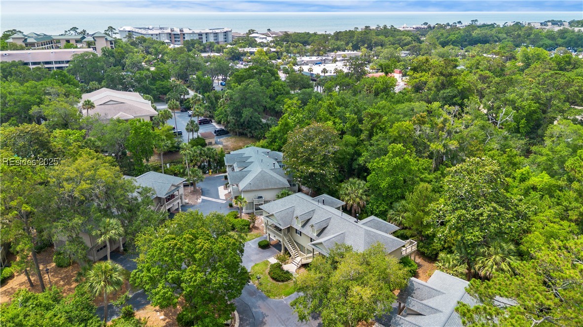 30 Valencia Drive #7B, Hilton Head Island, Texas image 42