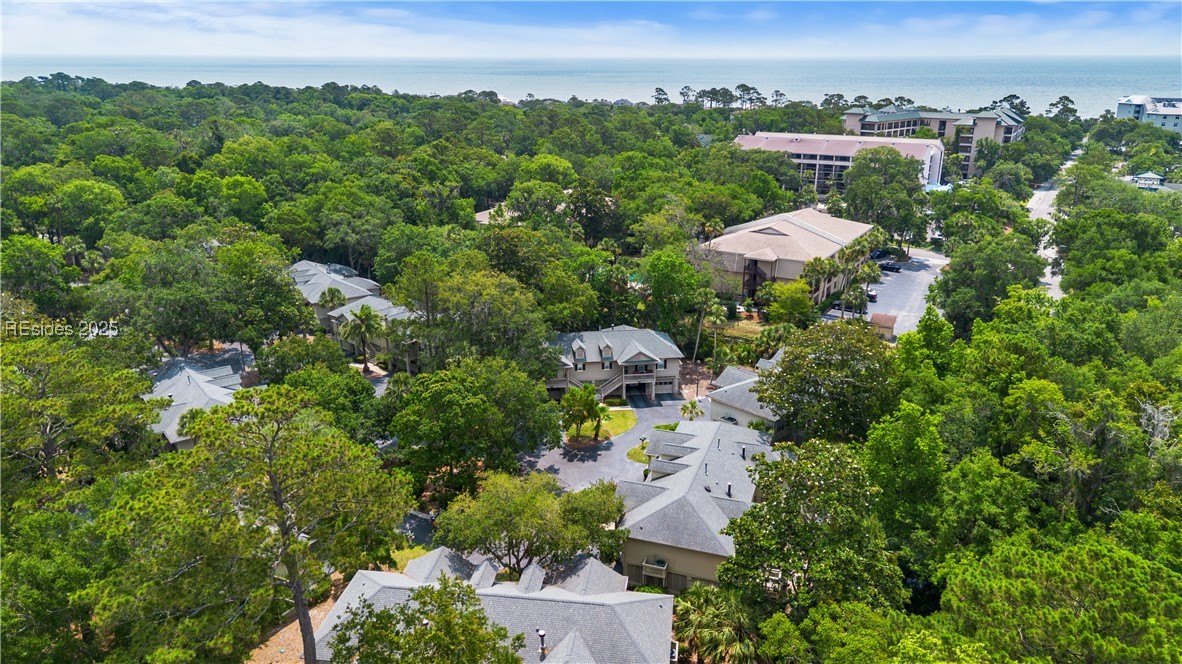 30 Valencia Drive #7B, Hilton Head Island, Texas image 50