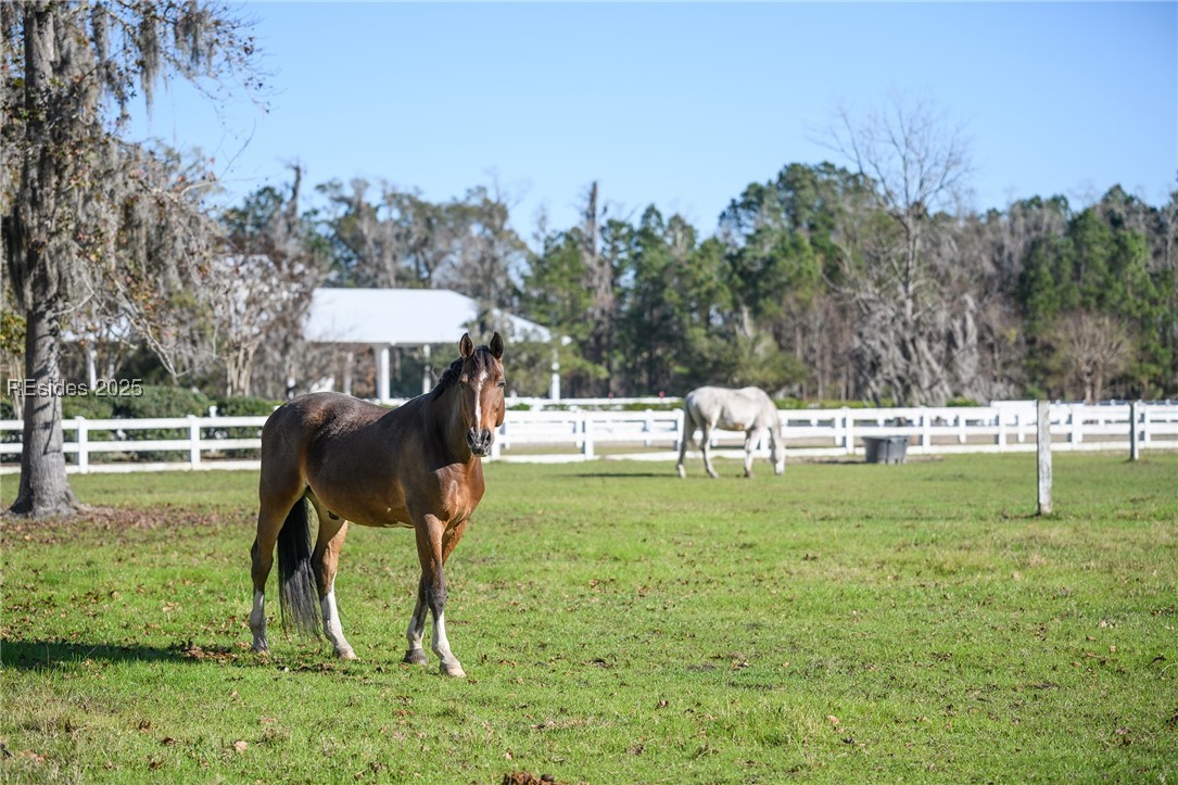 11 Bridle Path Boulevard, Hardeeville, South Carolina image 29