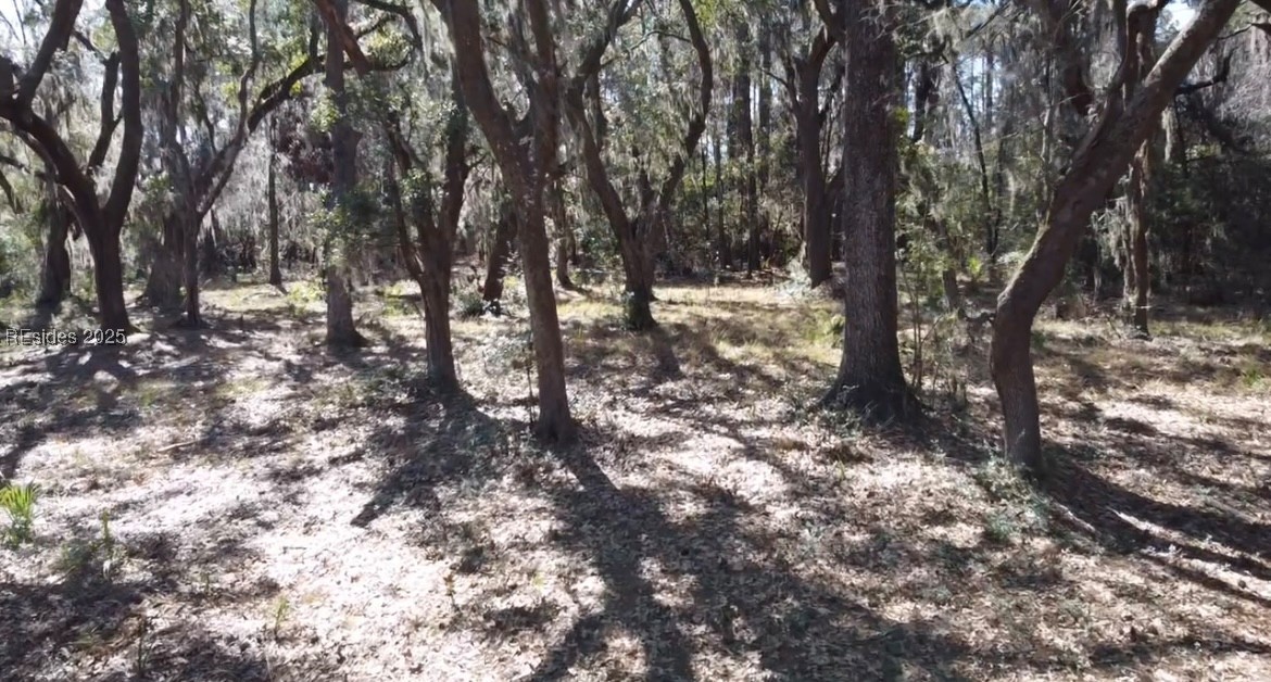 Lot 89 Broadview Drive, Ridgeland, South Carolina image 6
