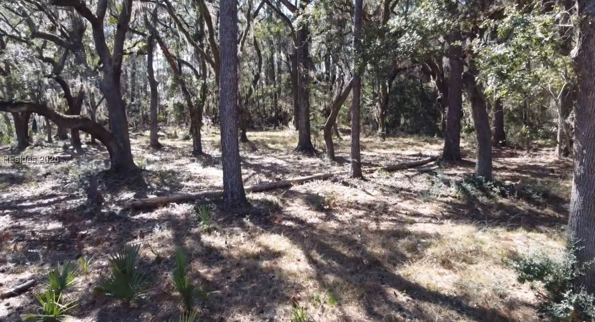 Lot 89 Broadview Drive, Ridgeland, South Carolina image 5