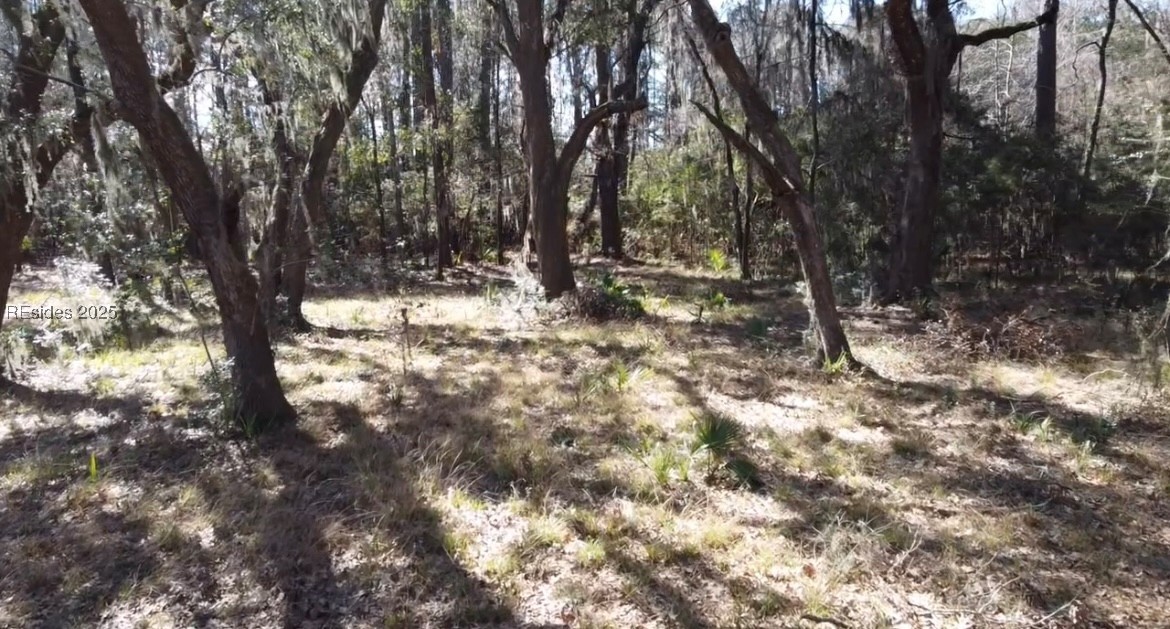 Lot 89 Broadview Drive, Ridgeland, South Carolina image 3