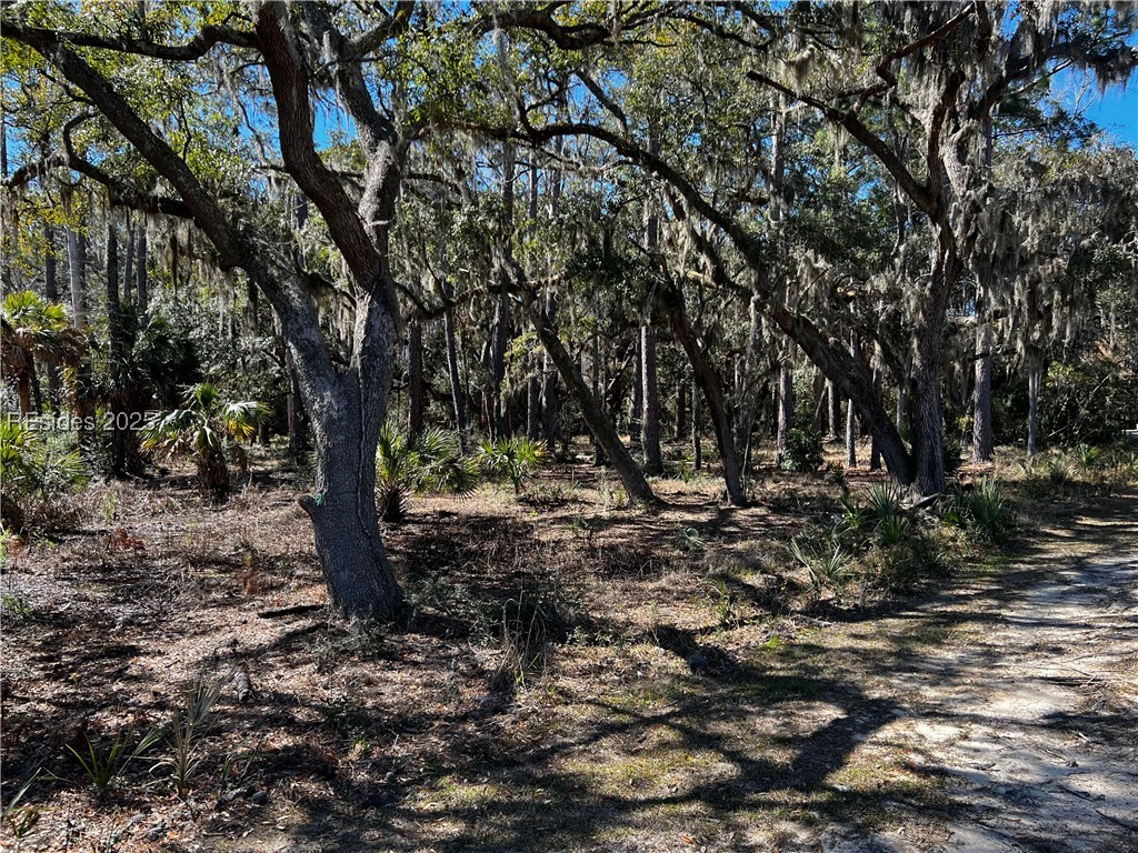 Lot 89 Broadview Drive, Ridgeland, South Carolina image 1