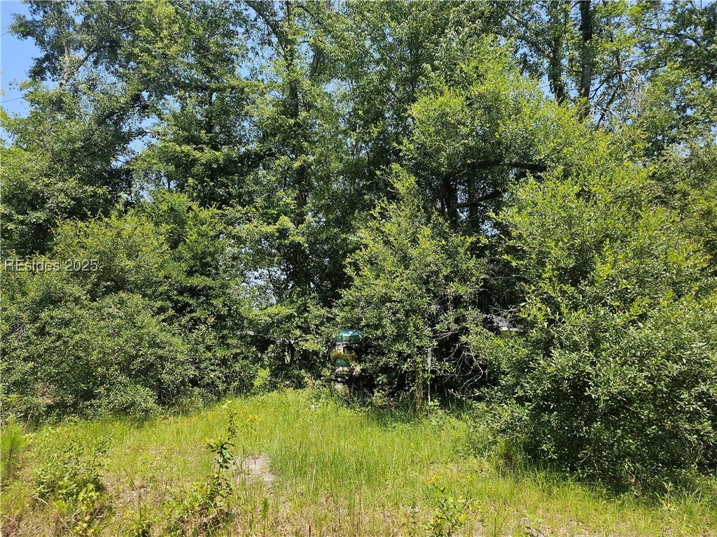 Hardeeville, South Carolina 29927, United States, ,Land,Pending,162962