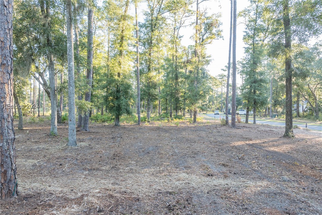 88 Lupine Road, Bluffton, South Carolina image 26