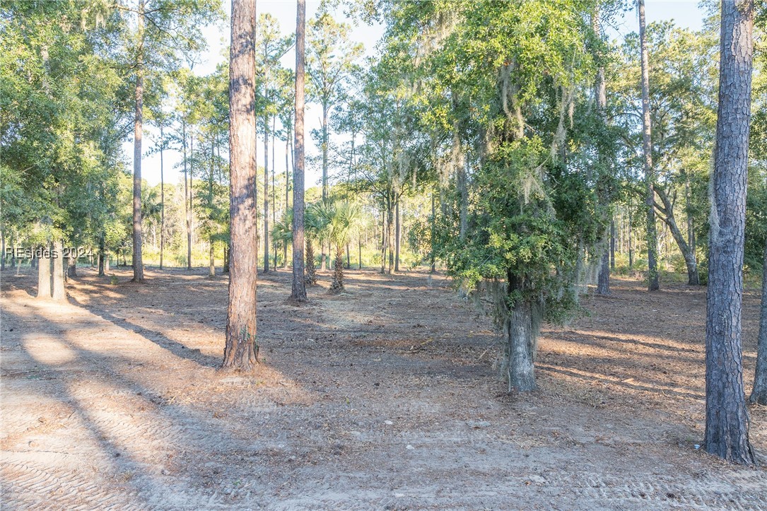 88 Lupine Road, Bluffton, South Carolina image 21