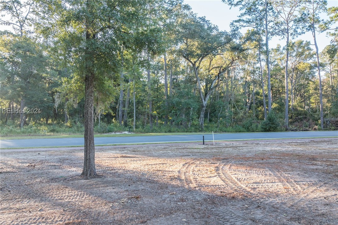 88 Lupine Road, Bluffton, South Carolina image 28