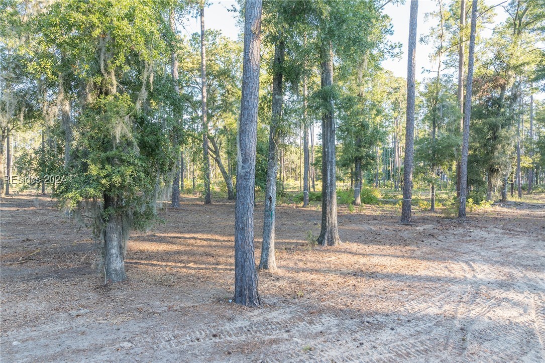 88 Lupine Road, Bluffton, South Carolina image 22