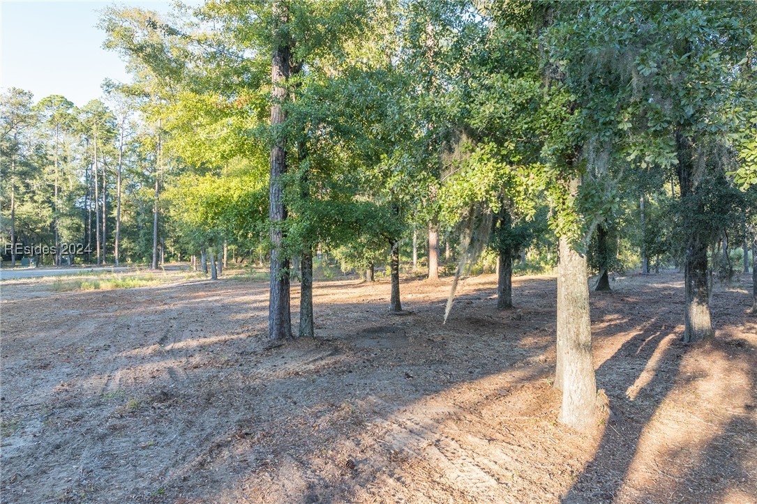88 Lupine Road, Bluffton, South Carolina image 30
