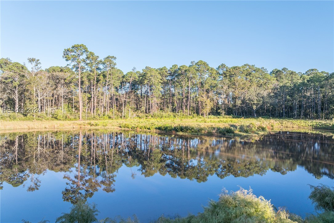 88 Lupine Road, Bluffton, South Carolina image 31