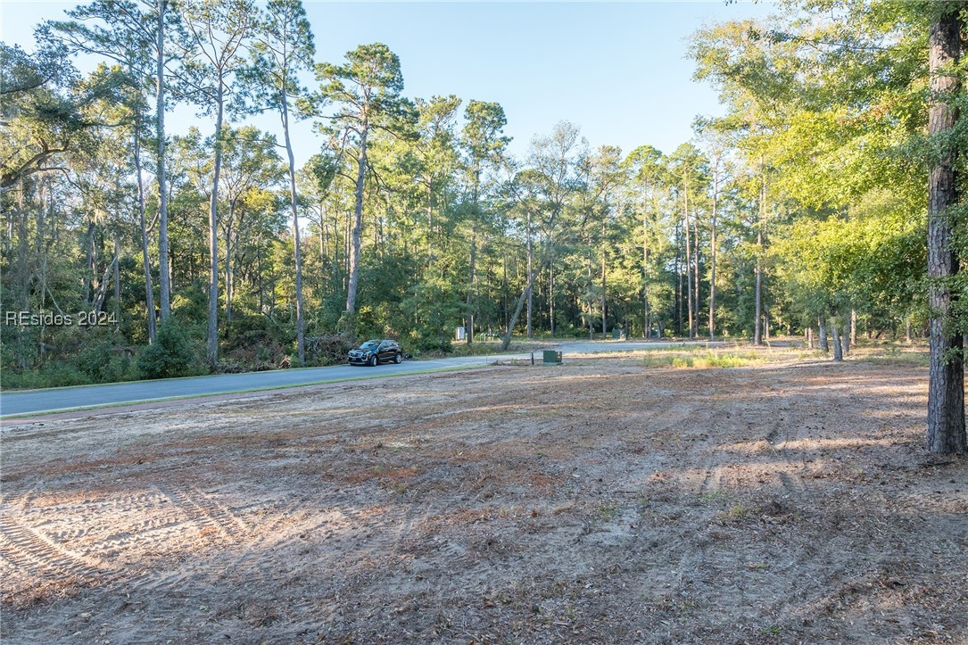 88 Lupine Road, Bluffton, South Carolina image 29