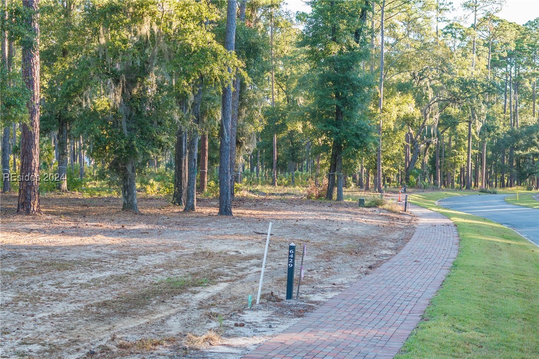 88 Lupine Road, Bluffton, South Carolina image 17
