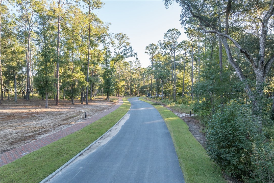 88 Lupine Road, Bluffton, South Carolina image 16