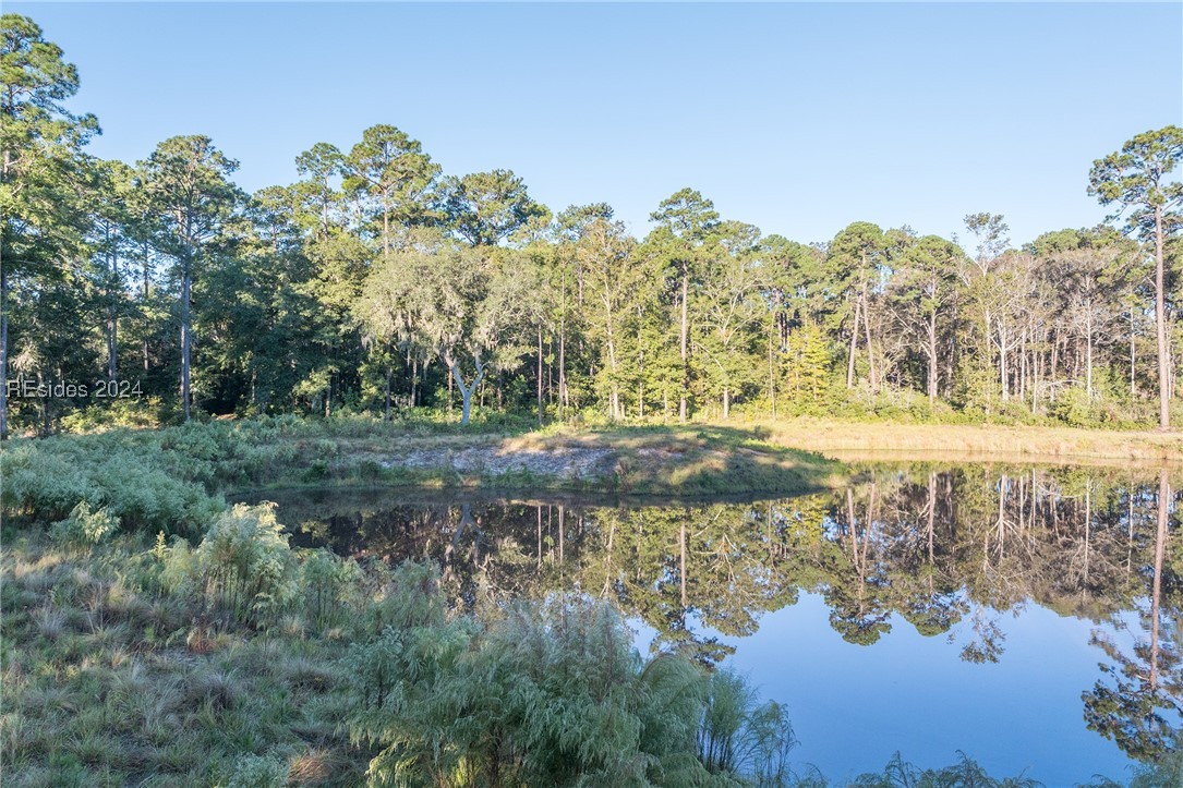 88 Lupine Road, Bluffton, South Carolina image 32