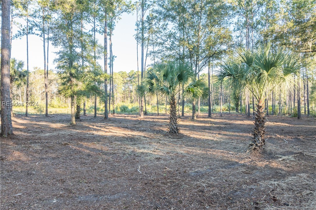 88 Lupine Road, Bluffton, South Carolina image 24