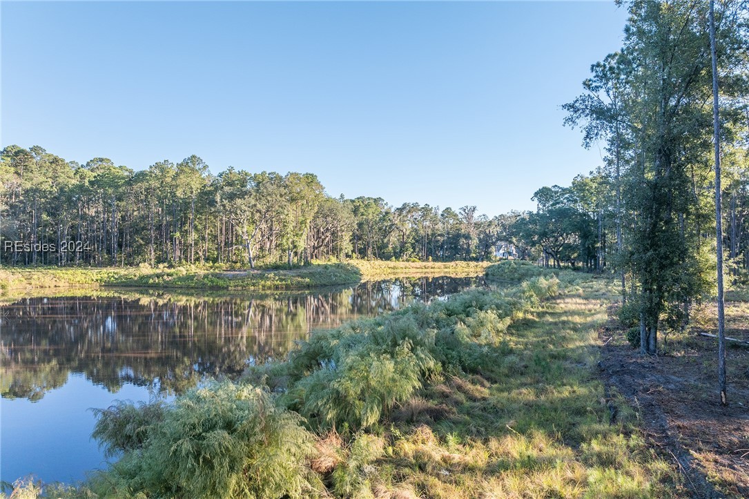 88 Lupine Road, Bluffton, South Carolina image 33