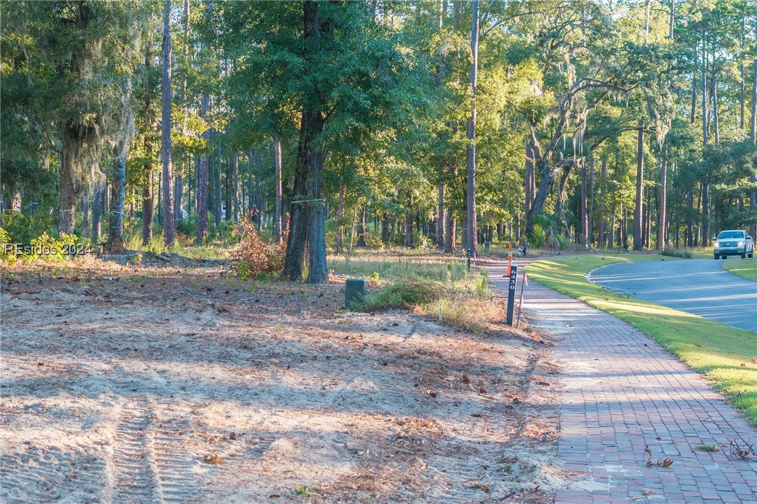 88 Lupine Road, Bluffton, South Carolina image 18