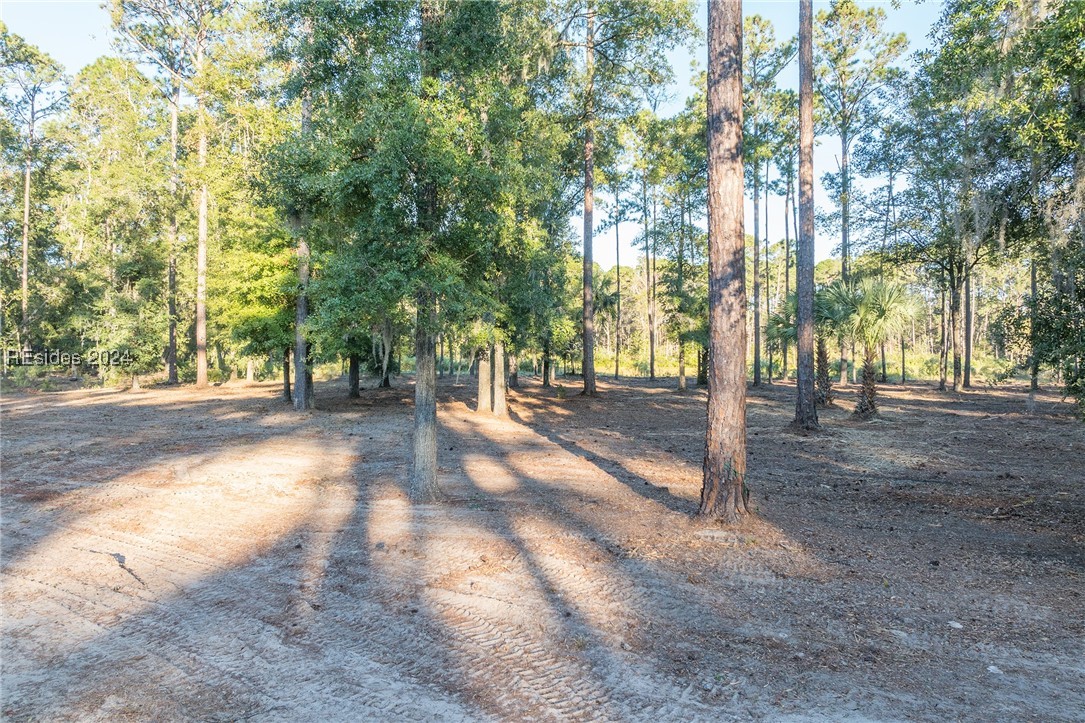 88 Lupine Road, Bluffton, South Carolina image 20