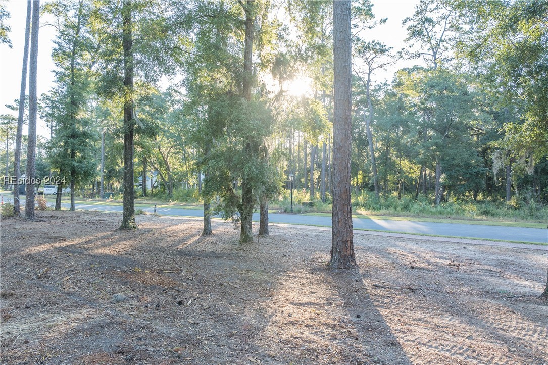 88 Lupine Road, Bluffton, South Carolina image 27
