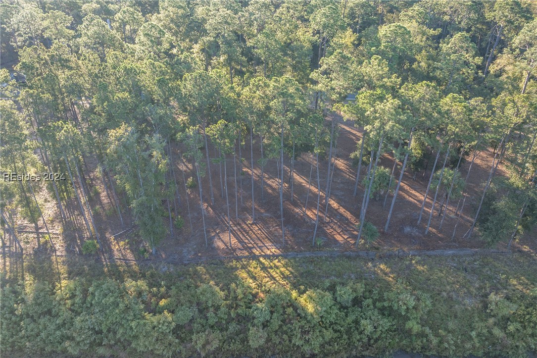 88 Lupine Road, Bluffton, South Carolina image 35