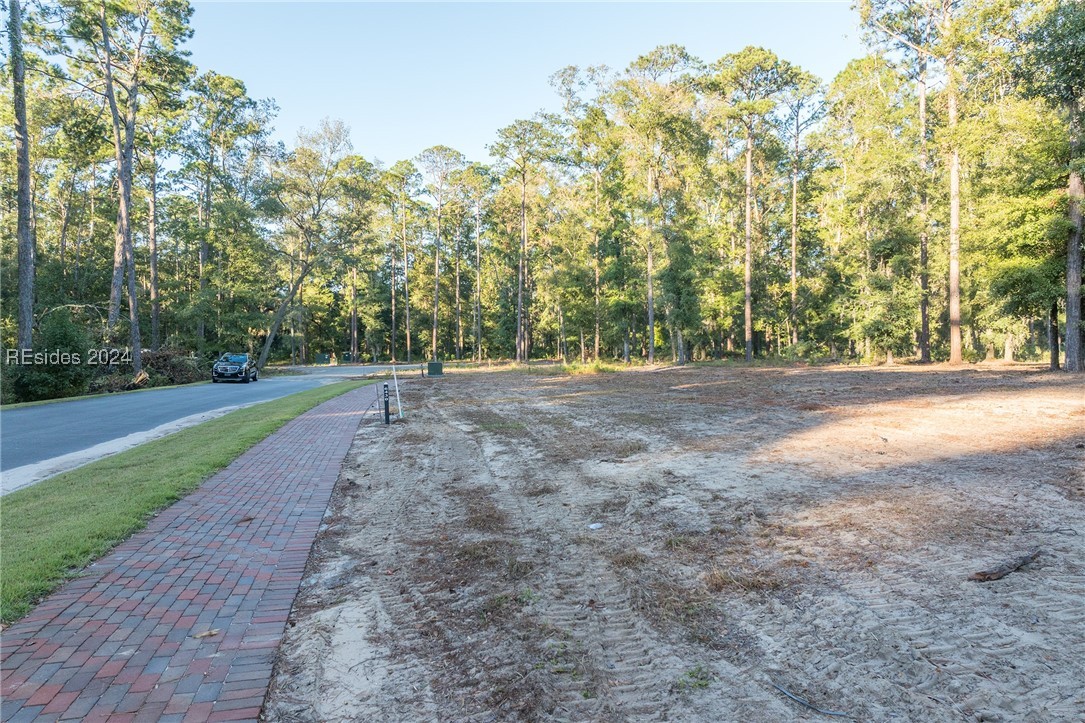 88 Lupine Road, Bluffton, South Carolina image 19