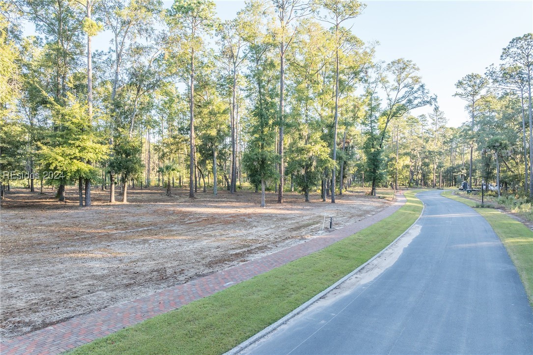 88 Lupine Road, Bluffton, South Carolina image 15