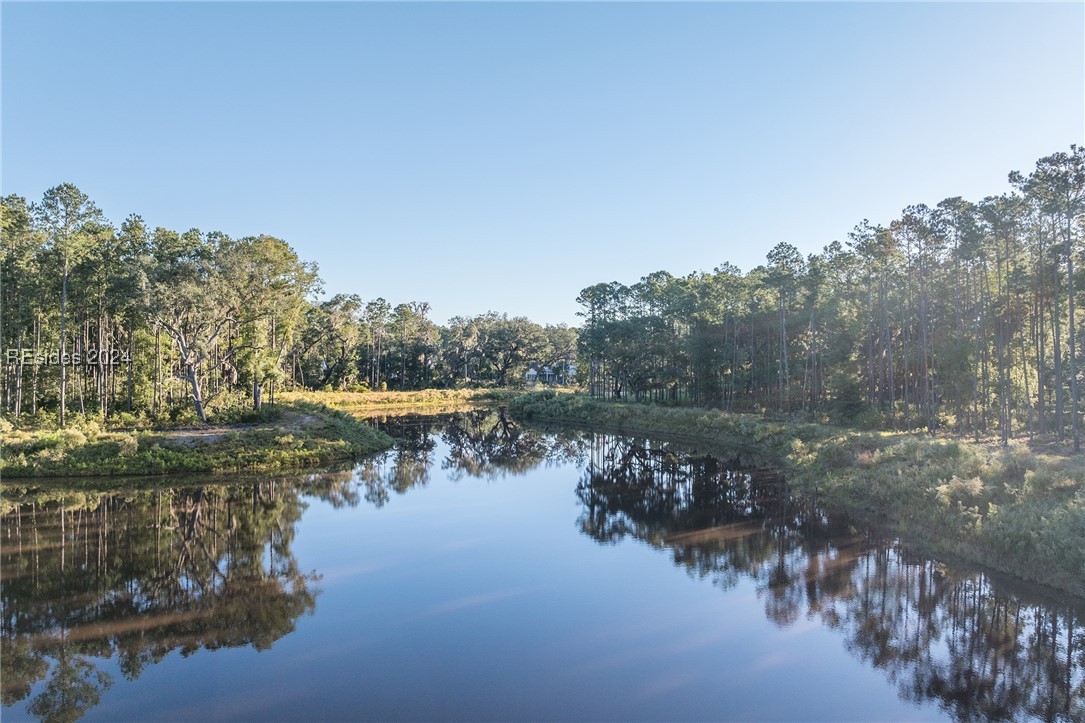 88 Lupine Road, Bluffton, South Carolina image 34