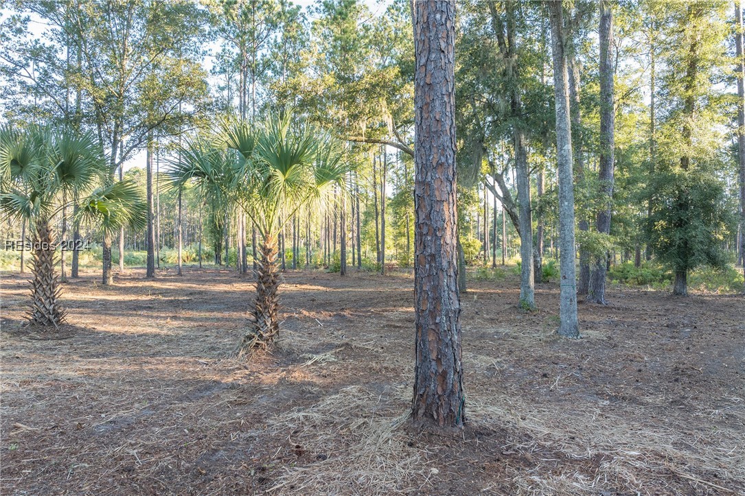 88 Lupine Road, Bluffton, South Carolina image 25