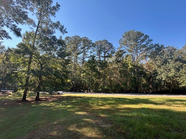 236 Farnsleigh Avenue, Bluffton, South Carolina image 5