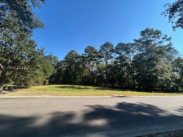 236 Farnsleigh Avenue, Bluffton, South Carolina image 2