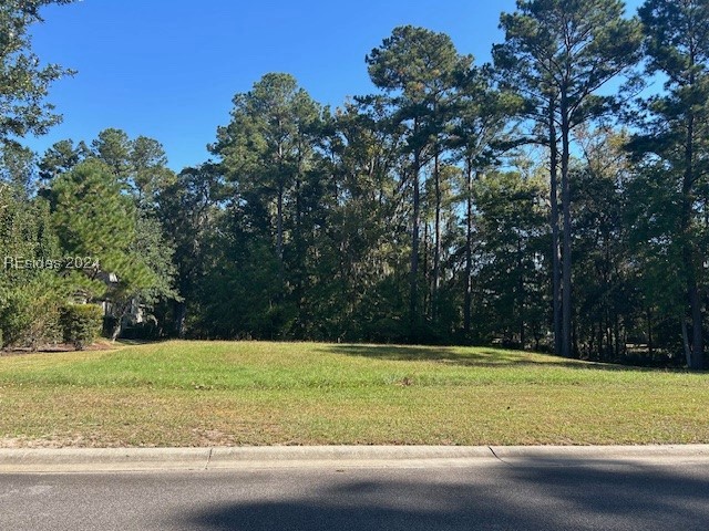236 Farnsleigh Avenue, Bluffton, South Carolina image 7