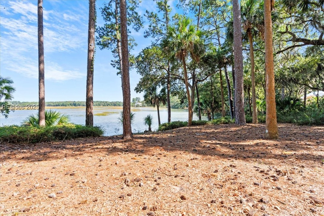 47 Spring Island Drive, Okatie, Texas image 39
