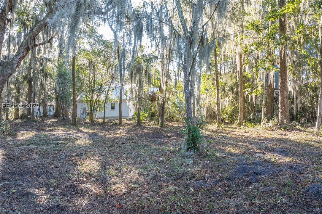 29 Maiden Lane, Bluffton, South Carolina image 2