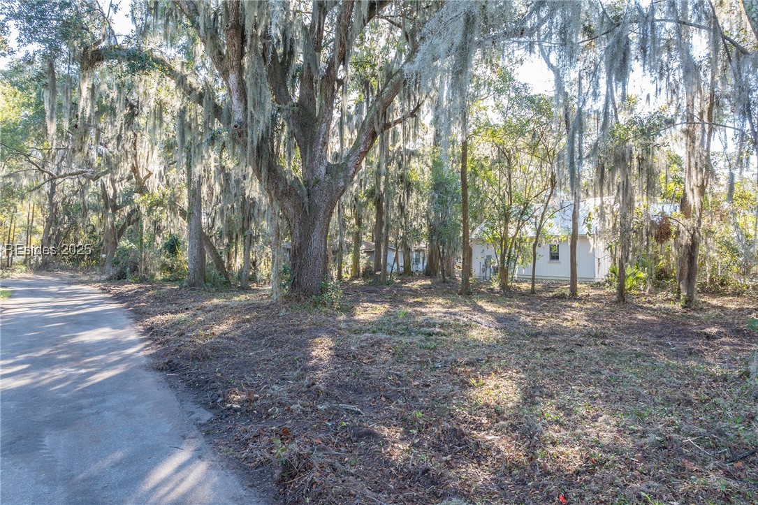 29 Maiden Lane, Bluffton, South Carolina image 1