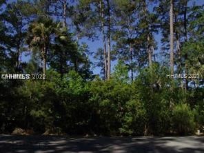 5 Woodstork Watch, Okatie, South Carolina image 2