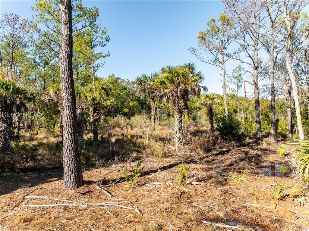 36 Ashton Drive, Saint Helena Island, Texas image 13