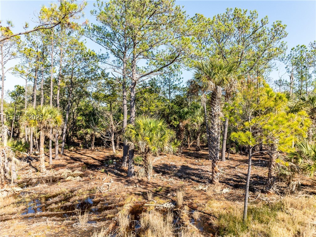 36 Ashton Drive, Saint Helena Island, Texas image 20